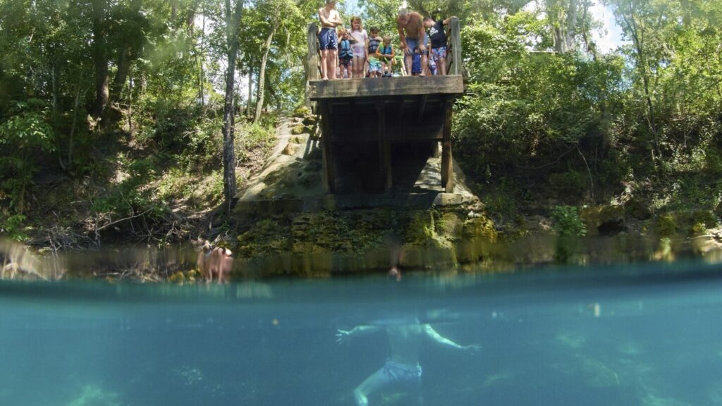 Pollution, development and climate change threaten Florida’s freshwater springs