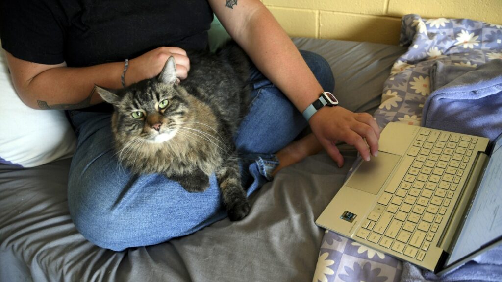 Photos of colleges allowing students to have pets in dorms