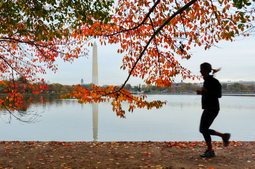 When to Find Peak Fall Foliage Across the US
