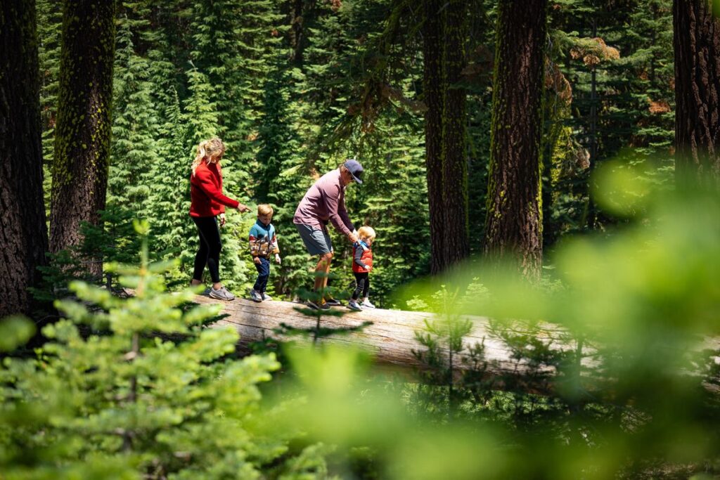 North Lake Tahoe to Rebrand as Lake Tahoe Travel