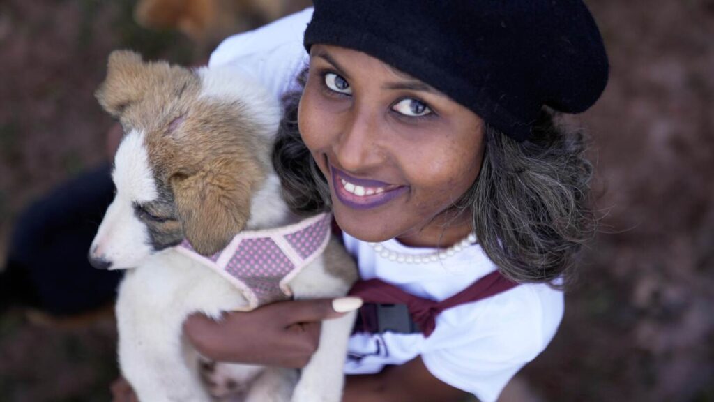 A quest to give more care to abandoned dogs in Ethiopia’s capital