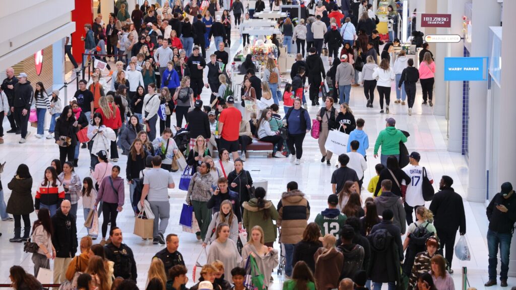 Shoppers spend billions on Black Friday
